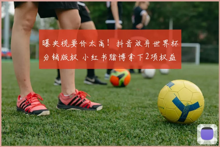 曝央视要价太高！抖音放弃世界杯分销版权 小红书赌博拿下2项权益