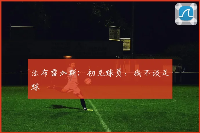 法布雷加斯：初见球员，我不谈足球