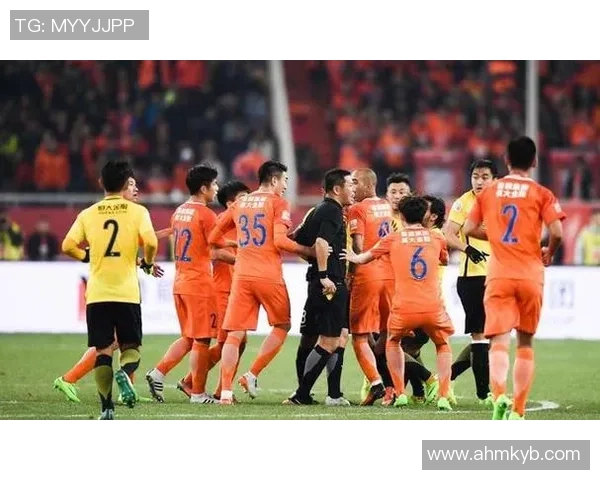 北京排球队心理素质引发热议球迷与专家观点交锋分析