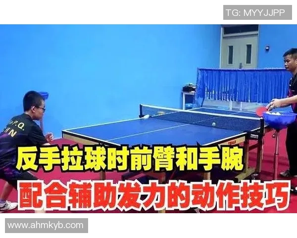 科学乒乓球训练法揭秘:提升实力的有效技巧与方法分享 科学乒乓球训练法揭秘:提升实力的有效技巧与方法分享