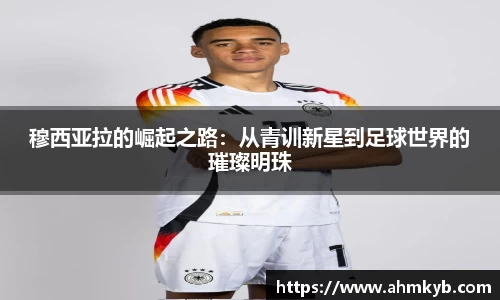JN江南体育官网